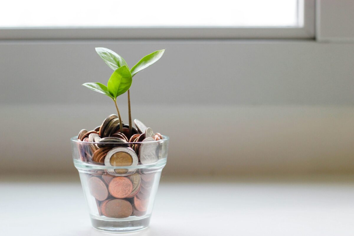 節約で貯めたお金から植物が芽生える